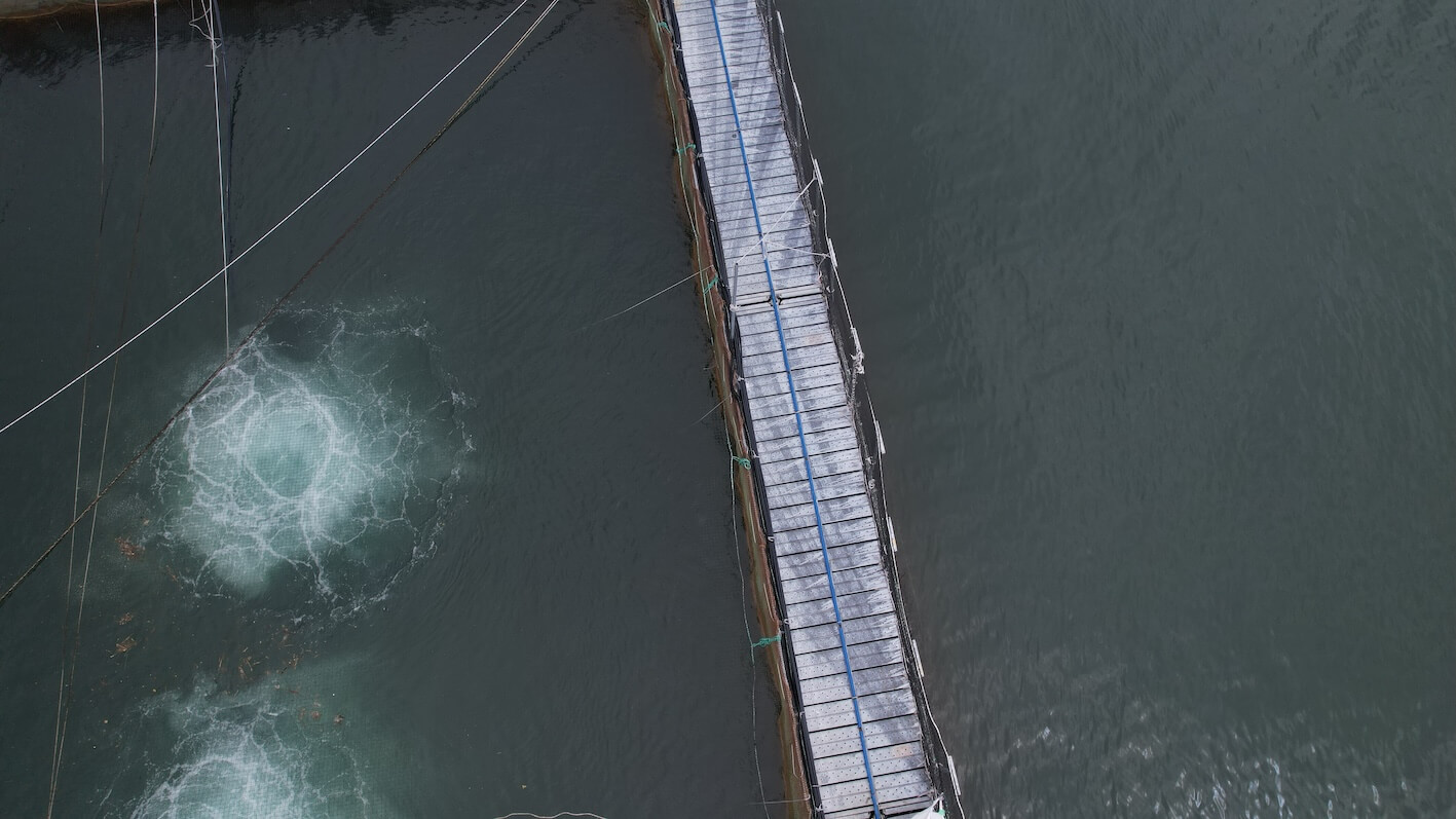 temperatura del agua