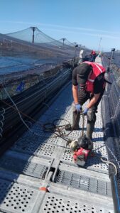 Surgencia para Acuicultura