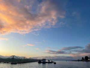 Oxigenación en baños de caligus