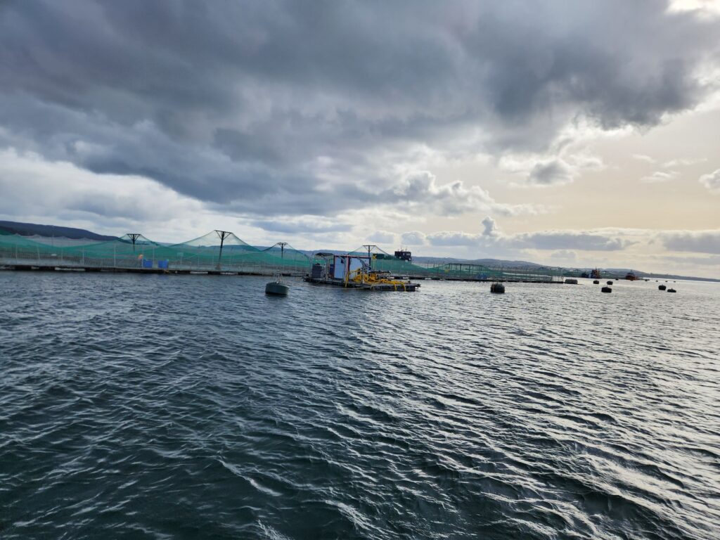 Remediación en Salmonicultura