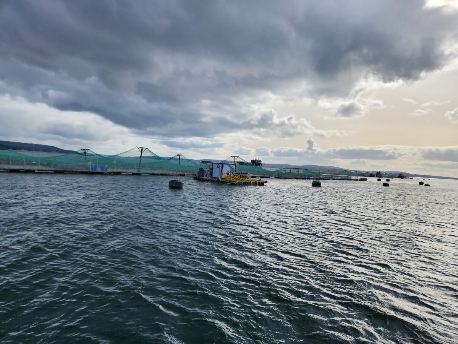 Remediación en Salmonicultura