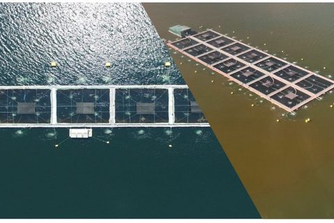 Sistema de surgencia ODIN en operación con efecto visible de upwelling
