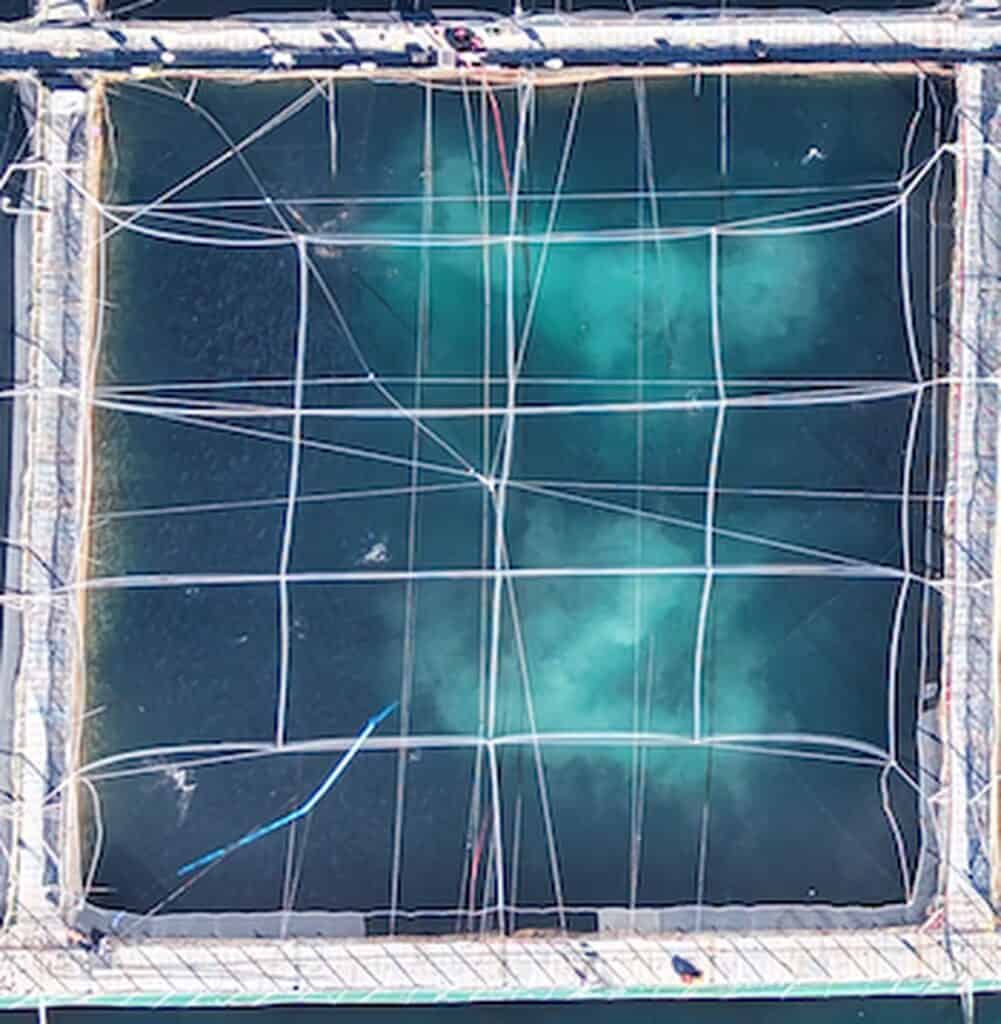 Vista cenital aérea de una jaula de salmón con sistema ODIN O₂ de CPI Equipment mostrando patrón de oxigenación con nanoburbujas