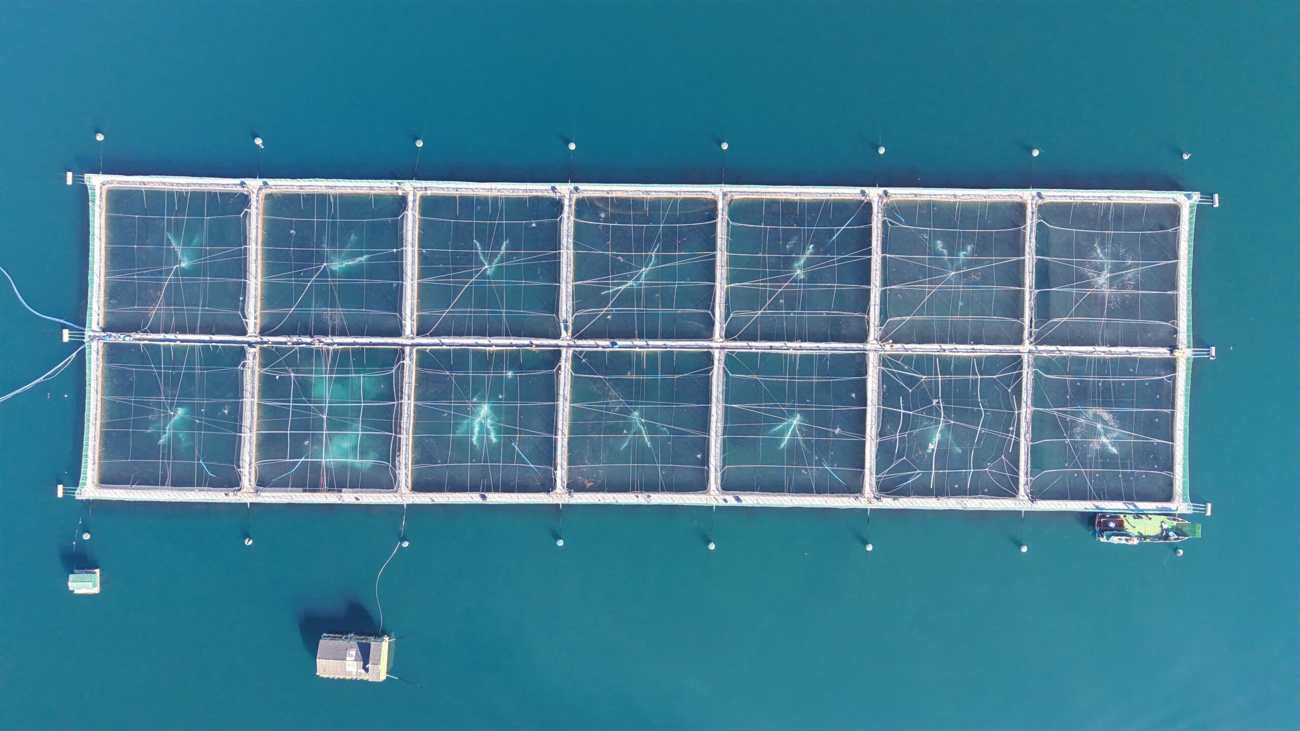 Vista aérea de centro de cultivo con sistema ODIN O₂ instalado